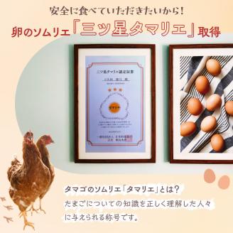 【定期便（３カ月）】小久保ファーム　濃厚卵黄　産みたてたまご　赤玉30個入り（M玉） ※着日指定不可 | 卵 定期便 30個 赤玉 玉子 たまご タマゴ 生卵 鶏卵 生みたて 産みたて 新鮮 濃厚 健康 TKG たまごかけごはん ご飯のお供 国産 ギフト 贈答 贈り物 お中元 お歳暮 プレゼント 茨城県 古河市 直送 農家直送 産地直送 送料無料 _EI04