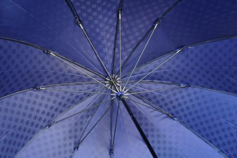 雪華模様のオリジナル傘（サイズ65cm）カラー：ネイビー | 傘 かさ 65センチ 雨具 メンズ レディース 兼用 雪の結晶 ネイビー 紺 おしゃれ かわいい スタイリッシュ 雨 梅雨 贈答 贈り物 プレゼント 父の日 母の日 お中元 お歳暮 御歳暮 茨城県 古河市 送料無料 _BL10