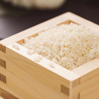 茨城県下妻市産虹のきらめき玄米10kg〈茨城県共通返礼品・下妻市〉 ※着日指定不可 | 米 こめ コメ 玄米 10キロ にじのきらめき にじきら 茨城県産 贈答 贈り物 プレゼント 茨城県 古河市 直送 農家直送 産地直送 送料無料 _DN03