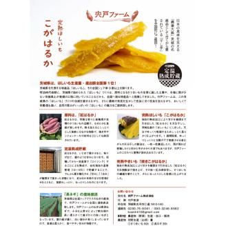 【先行受付】期間限定 完熟ほしいも こがはるか 計1kg（200g×5袋）｜ 茨城県産紅はるか 干し芋 ほしいも さつまいも 紅はるか おやつ スイーツ 国産 ギフト 贈答 贈り物 プレゼント 茨城県 古河市 直送 農家直送 産地直送 送料無料 ※離島への配送不可 ※2025年12月中旬頃より順次発送予定 _CM02