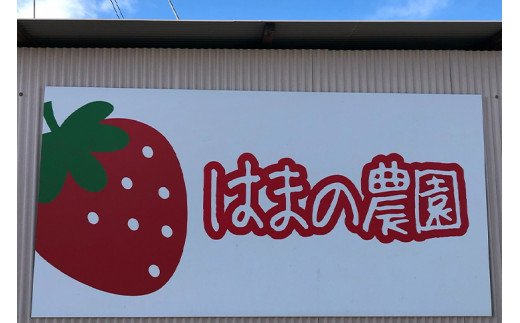 完熟紅ほっぺ 300g×2パック｜ いちご 苺 イチゴ 茨城県産 300グラム 2パック フルーツ 小分け 紅ほっぺ 取り寄せ お取り寄せ おいしい ギフト 贈答 贈り物 プレゼント 茨城県 古河市 直送 農家直送 産地直送 送料無料 600g 600グラム 300g 300グラム ※北海道・沖縄・離島への配送不可 ※2025年1月上旬～3月下旬頃に順次発送予定 _CU01