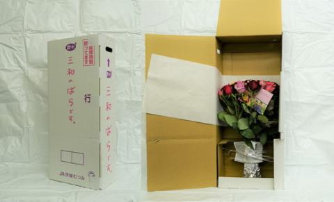 訳あり 生産農家直送！ご家庭用バラ花束35本セット 簡易包装 ※沖縄・離島への配送不可 | 35本 植物 花 華 お花 フラワー 生花 切り花 花持ち ばら バラ 薔薇 ローズ 花束 ブーケ 包装 ご家庭用 ギフト 高評価 感動 癒し 女性 男性 紳士 贈答 贈り物 プレゼント 茨城県 古河市 名産 特産 直送 農家直送 産地直送 苅部バラ園 送料無料 _AL02