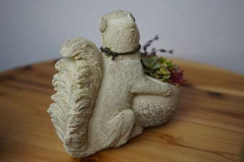 多肉植物の寄せ植え（りす）| 観葉植物 植物 グリーン 多肉 寄せ植え 室内 鉢植え ギフト 贈答 贈り物 プレゼント お祝い 直送 農家直送 茨城県 古河市 送料無料 _FC09