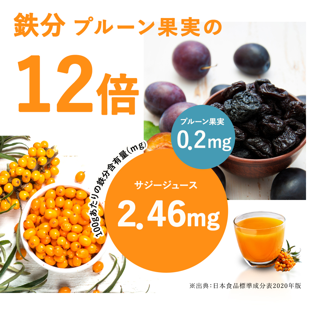 【定期便】 サジージュース 100% 1000ml×毎月1本 12ヶ月コース | サジージュース 定期便 サジー シーベリー 沙棘 グアマラル 健康ドリンク ドリンク ジュース 健康 美容 栄養 果汁 鉄分補給 栄養補給 健康食品 贈答 贈り物 プレゼント 茨城県 古河市 送料無料 _DX09