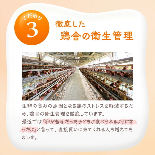 【6ヶ月定期便】小久保ファーム 濃厚卵黄 産みたてたまご 赤玉30個入り（M玉） | 定期便 6カ月 6回 卵 30個 赤玉 玉子 たまご タマゴ 生卵 鶏卵 産みたて 新鮮 濃厚 健康 国産 ギフト 贈答 贈り物 お中元 お歳暮 プレゼント 農家直送 _EI06