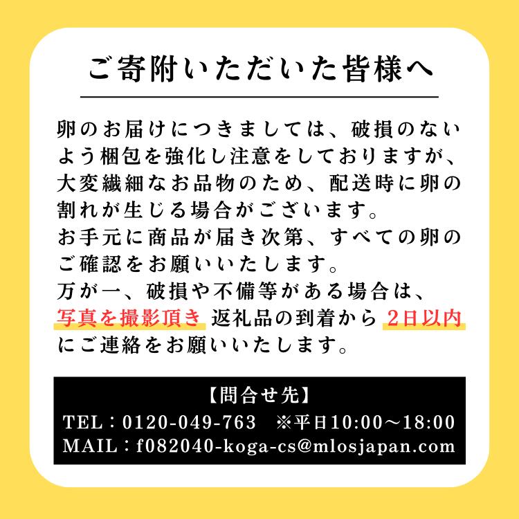 【定期便3か月】 江原ファーム　体に優しい地養卵（20個）｜卵 たまご タマゴ 生みたて 産みたて 新鮮 濃厚 健康 赤玉 産地直送_AG22