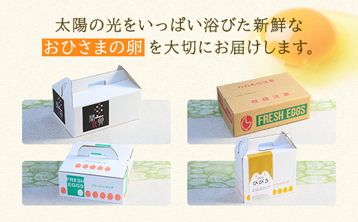 【定期便12か月】関匠卵 たくみ 30個×12か月｜卵 30個 赤玉 玉子 たまご 生卵 鶏卵 産みたて 新鮮 濃厚 健康 TKG たまごかけごはん ご飯のお供 国産 ギフト 贈答 贈り物 お中元 お歳暮 プレゼント 茨城県 古河市 農家直送 _CP10 ※北海道・沖縄・離島への配送不可