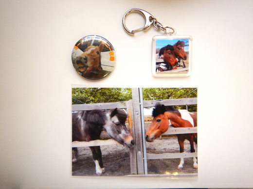 ポニーお世話体験＆オリジナルグッズ作り 1名分 | ネーブルパーク ポニー 厩務体験 体験 公園 子供 子ども 休日 夏休み 冬休み GW 贈り物 プレゼント 茨城県 古河市 送料無料 着日指定可 _DP96