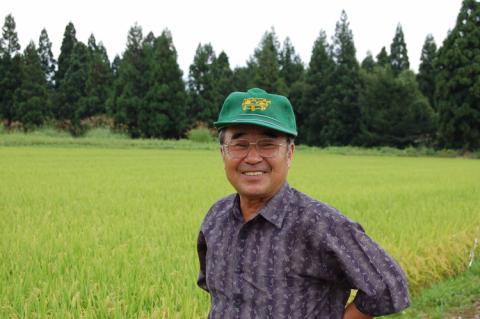 “山形県産ヒメノモチ”100%の杵つき切り餅セット『白餅・玄米餅』 ※着日指定不可 | もち モチ 餅 切り餅 食べくらべ 食べ比べ 玄米 げんまい 杵 老舗 ギフト お取り寄せ お年賀 お歳暮 贈答用 直送 茨城県 古河市 _EM03