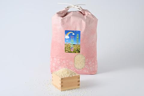 【令和7年産 新米】にじのきらめき 精米5kg【荒川アグリ】 | 米 こめ コメ 5キロ 精米 虹のきらめき にじきら 古河市産 茨城県産 贈答 贈り物 プレゼント 茨城県 古河市 直送 農家直送 産地直送 送料無料 ※2025年10月上旬頃より順次発送予定 _DH04