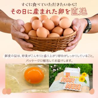 【定期便（３カ月）】小久保ファーム　濃厚卵黄　産みたてたまご　赤玉30個入り（M玉） ※着日指定不可 | 卵 定期便 30個 赤玉 玉子 たまご タマゴ 生卵 鶏卵 生みたて 産みたて 新鮮 濃厚 健康 TKG たまごかけごはん ご飯のお供 国産 ギフト 贈答 贈り物 お中元 お歳暮 プレゼント 茨城県 古河市 直送 農家直送 産地直送 送料無料 _EI04