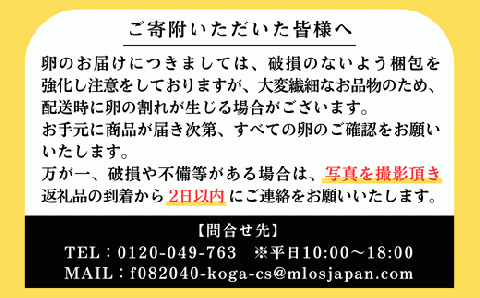 【定期便3か月】 江原ファーム 地養卵＆アローカナハーフセット（30個） ※着日指定不可 | 卵 定期便 30個 玉子 たまご タマゴ 生卵 鶏卵 生みたて 産みたて アローカナ 地養卵 食べくらべ 食べ比べ セット 新鮮 濃厚 健康 青い卵 TKG たまごかけごはん ご飯のお供 国産 ギフト 贈答 贈り物 お中元 お歳暮 プレゼント 茨城県 古河市 直送 農家直送 産地直送 送料無料 _AG19