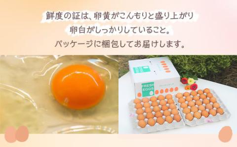 小久保ファーム　濃厚卵黄　産みたてたまご　赤玉50個入り（M玉） | 卵 50個 赤玉 玉子 たまご タマゴ 生卵 鶏卵 生みたて 産みたて 新鮮 濃厚 健康 TKG たまごかけごはん ご飯のお供 国産 ギフト 贈答 贈り物 お中元 お歳暮 プレゼント 茨城県 古河市 直送 農家直送 産地直送 送料無料 _EI02