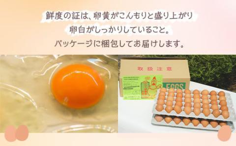 小久保ファーム　濃厚卵黄　産みたてたまご　赤玉80個入り（M玉） | 卵 80個 赤玉 玉子 たまご タマゴ 生卵 鶏卵 生みたて 産みたて 新鮮 濃厚 健康 TKG たまごかけごはん ご飯のお供 国産 ギフト 贈答 贈り物 お中元 お歳暮 プレゼント 茨城県 古河市 直送 農家直送 産地直送 送料無料 _EI03