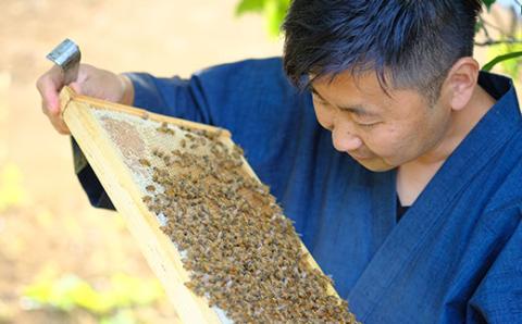 季節で移ろう田舎はちみつ3種ギフトセット[結蜜 Musubi-R3] 【茨城県共通返礼品／五霞町】 | はちみつ ハチミツ 蜂蜜 生はちみつ 生ハチミツ 非加熱 茨城県産 国産 純粋 食べくらべ 食べ比べ セット 詰め合わせ おすすめ ミツバチ 蜜蜂 みつばち 茨城県産 贈答 贈り物 プレゼント 茨城県 古河市 送料無料 _EY03