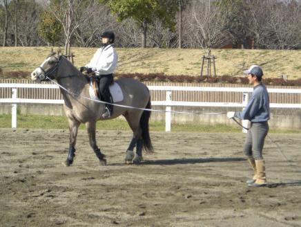 ネーブルパーク 施設利用券 15,000円分（500円×30枚） | 利用券 公園 テーマパーク ポニー 工芸 パン キャンプ 宿泊 BBQ バーベキュー 地下迷路 迷路 自然 花 贈答 休日 夏休み 冬休み GW 贈り物 プレゼント 茨城県 古河市 送料無料 _DP17