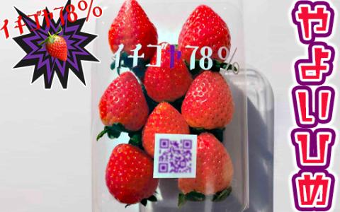 早く見つけて～！！甘い！美味しい！と巷で噂の苺をいっぱい食べてる人程食べてほしい♥ やよいひめ260g×4パック | いちご 苺 イチゴ 約 1キロ フルーツ おいしい やよい姫 取り寄せ お取り寄せ ギフト 贈答 贈り物 プレゼント 茨城県 古河市 直送 農家直送 産地直送 送料無料 ※北海道・沖縄・離島への配送不可 ※2025年12月下旬頃より順次発送予定 _FE02