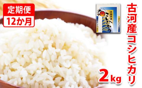 【定期便 12か月】【新米】令和7年産 古河市産コシヒカリ 2kg | 米 こめ コメ 2キロ 定期便 こしひかり コシヒカリ 古河市産 茨城県産 贈答 贈り物 プレゼント 茨城県 古河市 直送 産地直送 送料無料 _DP30