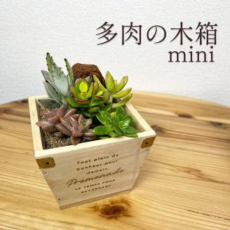 多肉植物 木箱の寄せ植え【S】 ※北海道・沖縄・離島への配送不可 | 観葉植物 植物 グリーン 多肉 寄せ植え 室内 鉢植え ギフト 贈答 贈り物 プレゼント お祝い 直送 農家直送 茨城県 古河市 送料無料 _FC07