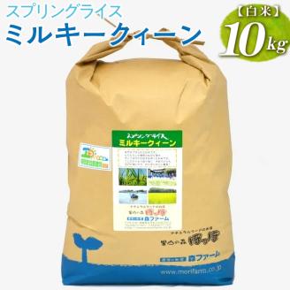 スプリングライス ミルキークィーン (白米)10kg ※着日指定不可 | 米 こめ コメ 10キロ 精米 白米 ミルキークイーン みるきーくいーん 古河市産 茨城県産 取り寄せ お取り寄せ ギフト 贈答 贈り物 プレゼント お中元 お歳暮 茨城県 古河市 直送 農家直送 産地直送 送料無料 _BI23