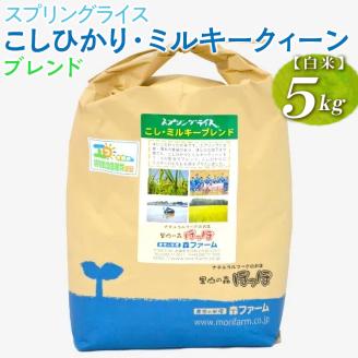 スプリングライス こしひかり・ミルキークィーン ブレンド (白米) 5kg ※着日指定不可 | 米 こめ コメ 5キロ 精米 白米 ブレンド米 こしひかり コシヒカリ ミルキークイーン みるきーくいーん もちもち 古河市産 茨城県産 取り寄せ お取り寄せ ギフト 贈答 贈り物 プレゼント お中元 お歳暮　 茨城県 古河市 直送 農家直送 産地直送 送料無料 _BI27