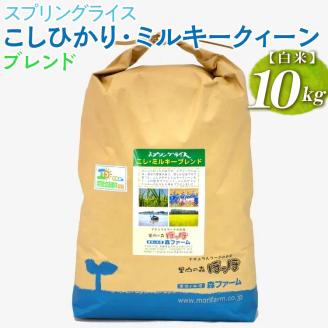 スプリングライス こしひかり・ミルキークィーン ブレンド (白米) 10kg ※着日指定不可 | 米 こめ コメ 10キロ 精米 白米 ブレンド米 こしひかり コシヒカリ ミルキークイーン みるきーくいーん もちもち 古河市産 茨城県産 取り寄せ お取り寄せ ギフト 贈答 贈り物 プレゼント お中元 お歳暮 茨城県 古河市 直送 農家直送 産地直送 送料無料 _BI28