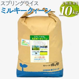 スプリングライス ミルキークィーン (無洗米) 10kg ※着日指定不可 | 米 こめ コメ 10キロ 無洗米 白米 ミルキークイーン みるきーくいーん 古河市産 茨城県産 取り寄せ お取り寄せ ギフト 贈答 贈り物 プレゼント お中元 お歳暮 茨城県 古河市 直送 農家直送 産地直送 送料無料 _BI37