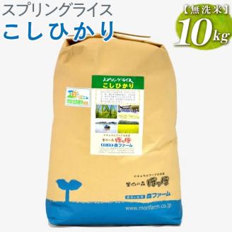 スプリングライス こしひかり (無洗米) 10kg ※着日指定不可 | 米 こめ コメ 10キロ 無洗米 白米 こしひかり コシヒカリ 古河市産 茨城県産 取り寄せ お取り寄せ ギフト 贈答 贈り物 プレゼント お中元 お歳暮 茨城県 古河市 直送 農家直送 産地直送 送料無料 _BI40