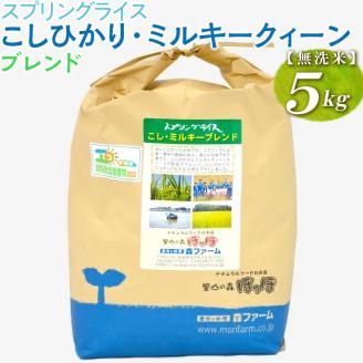 スプリングライス こしひかり・ミルキークィーン ブレンド (無洗米) 5kg ※着日指定不可 | 米 こめ コメ 5キロ 無洗米 白米 ブレンド米 こしひかり コシヒカリ ミルキークイーン みるきーくいーん もちもち 古河市産 茨城県産 取り寄せ お取り寄せ ギフト 贈答 贈り物 プレゼント お中元 お歳暮 茨城県 古河市 直送 農家直送 産地直送 送料無料 _BI41