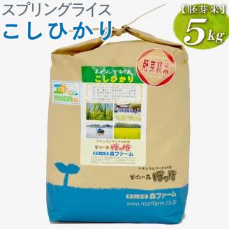 スプリングライス こしひかり (胚芽米) 5kg ※着日指定不可 | 米 こめ コメ 5キロ 胚芽米 こしひかり コシヒカリ 古河市産 茨城県産 取り寄せ お取り寄せ ギフト 贈答 贈り物 プレゼント お中元 お歳暮 茨城県 古河市 直送 農家直送 産地直送 送料無料 _BI49