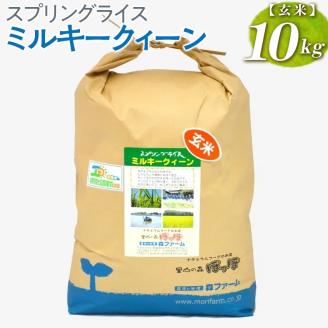 スプリングライス ミルキークィーン (玄米) 10kg ※着日指定不可 | 米 こめ コメ 10キロ 玄米 ミルキークイーン みるきーくいーん 古河市産 茨城県産 取り寄せ お取り寄せ ギフト 贈答 贈り物 プレゼント お中元 お歳暮 茨城県 古河市 直送 農家直送 産地直送 送料無料 _BI63