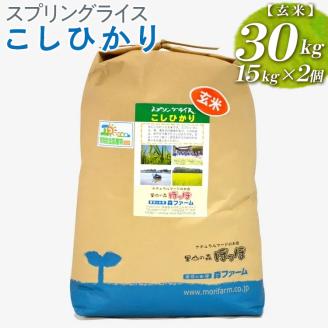 スプリングライス こしひかり (玄米) 30kg (15kg×2個) ※着日指定不可 | 米 こめ コメ 30キロ 玄米 こしひかり コシヒカリ 古河市産 茨城県産 取り寄せ お取り寄せ ギフト 贈答 贈り物 プレゼント お中元 お歳暮 茨城県 古河市 直送 農家直送 産地直送 送料無料 _BI68