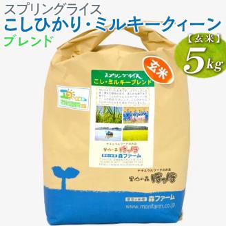 スプリングライス こしひかり・ミルキークィーン ブレンド (玄米) 5kg ※着日指定不可 | 米 こめ コメ 5キロ 玄米 ブレンド米 こしひかり コシヒカリ ミルキークイーン みるきーくいーん もちもち 古河市産 茨城県産 取り寄せ お取り寄せ ギフト 贈答 贈り物 プレゼント お中元 お歳暮 茨城県 古河市 直送 農家直送 産地直送 送料無料 _BI69