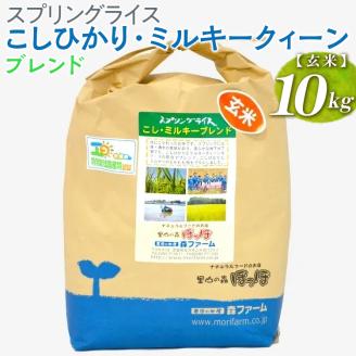 スプリングライス こしひかり・ミルキークィーン ブレンド (玄米) 10kg ※着日指定不可 | 米 こめ コメ 10キロ 玄米 ブレンド米 こしひかり コシヒカリ ミルキークイーン みるきーくいーん もちもち 古河市産 茨城県産 取り寄せ お取り寄せ ギフト 贈答 贈り物 プレゼント お中元 お歳暮 茨城県 古河市 直送 農家直送 産地直送 送料無料 _BI70