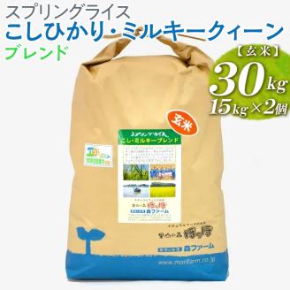 スプリングライス こしひかり・ミルキークィーン ブレンド (玄米) 30kg (15kg×2個) ※着日指定不可 | 米 こめ コメ 30キロ 玄米 ブレンド米 こしひかり コシヒカリ ミルキークイーン みるきーくいーん もちもち 古河市産 茨城県産 取り寄せ お取り寄せ ギフト 贈答 贈り物 プレゼント お中元 お歳暮 茨城県 古河市 直送 農家直送 産地直送 送料無料 _BI71