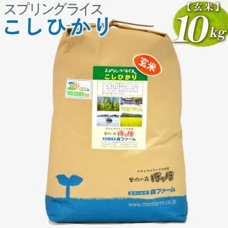 スプリングライス こしひかり (玄米) 10kg ※着日指定不可 | 米 こめ コメ 10キロ 玄米 こしひかり コシヒカリ 古河市産 茨城県産 取り寄せ お取り寄せ ギフト 贈答 贈り物 プレゼント お中元 お歳暮 茨城県 古河市 直送 農家直送 産地直送 送料無料 _BI67