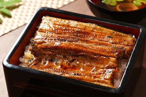 うなぎ 炭火 かば焼き 特上 2人前 備長木炭使用 老舗増田家 | うなぎ 鰻 ウナギ 国産 かば焼き 蒲焼き 蒲焼 うな重 ひつまぶし たれ 山椒 人気 おすすめ 取り寄せ お取り寄せ グルメ 惣菜 ギフト 贈答 贈り物 プレゼント お中元 お歳暮 御歳暮 茨城県 古河市 直送 店舗直送 送料無料 _ED06