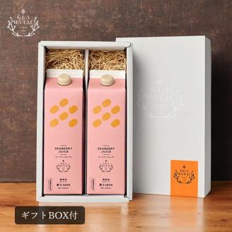 サジージュース 100% 1000ml×2本 ［ギフト用］ | サジージュース サジー シーベリー 沙棘 グアマラル 健康ドリンク ドリンク ジュース 健康 美容 栄養 果汁 鉄分補給 栄養補給 健康食品 贈答 贈り物 プレゼント ギフト 茨城県 古河市 送料無料 _DX14