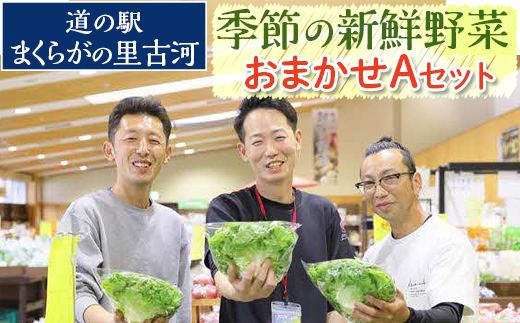 道の駅まくらがの里古河　季節の新鮮野菜おまかせAセット ※北海道・沖縄・離島への配送不可 | 野菜 セット 詰合せ 詰め合わせ セット アソート 新鮮 道の駅 人気 ギフト 贈答 贈り物 プレゼント お中元 お歳暮 茨城県 古河市 直送 農家直送 産地直送 送料無料 _BQ03