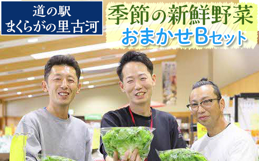 道の駅まくらがの里古河　季節の新鮮野菜おまかせBセット ※北海道・沖縄・離島への配送不可 | 野菜 セット 詰合せ 詰め合わせ セット アソート 新鮮 道の駅 人気 ギフト 贈答 贈り物 プレゼント お中元 お歳暮 茨城県 古河市 直送 農家直送 産地直送 送料無料 _BQ04