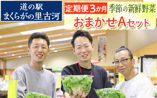 【定期便3か月】道の駅まくらがの里古河　季節の新鮮野菜おまかせAセット ※北海道・沖縄・離島への配送不可 | 野菜 セット 詰合せ 定期便 詰め合わせ セット アソート 新鮮 道の駅 人気 ギフト 贈答 贈り物 プレゼント お中元 お歳暮 茨城県 古河市 直送 農家直送 産地直送 送料無料 _BQ05