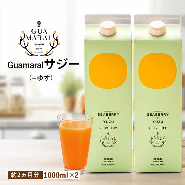 サジージュース+ゆず 1000ml×2本セット | サジージュース サジー シーベリー 沙棘 グアマラル 健康ドリンク ドリンク ジュース 健康 美容 栄養 果汁 鉄分補給 栄養補給 健康食品 贈答 贈り物 プレゼント ギフト 茨城県 古河市 送料無料 _DX05