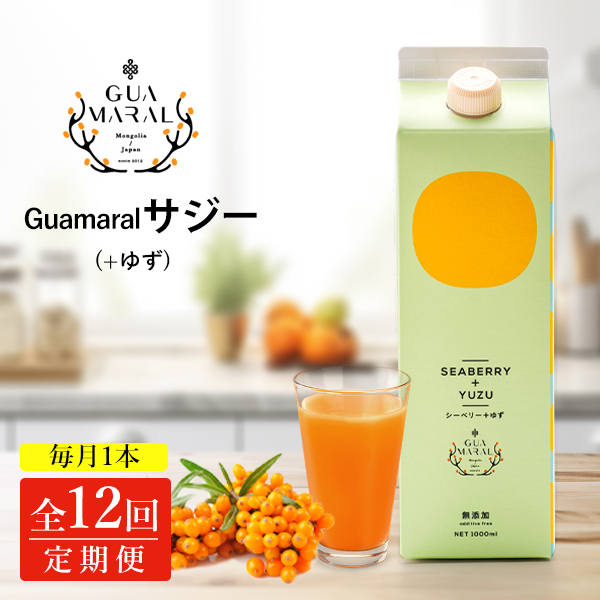 【定期便】 サジージュース+ゆず 1000ml×毎月1本 12ヶ月コース | サジージュース 定期便 サジー シーベリー 沙棘 グアマラル 健康ドリンク ドリンク ジュース 健康 美容 栄養 果汁 鉄分補給 栄養補給 健康食品 贈答 贈り物 プレゼント ギフト 茨城県 古河市 送料無料 _DX10