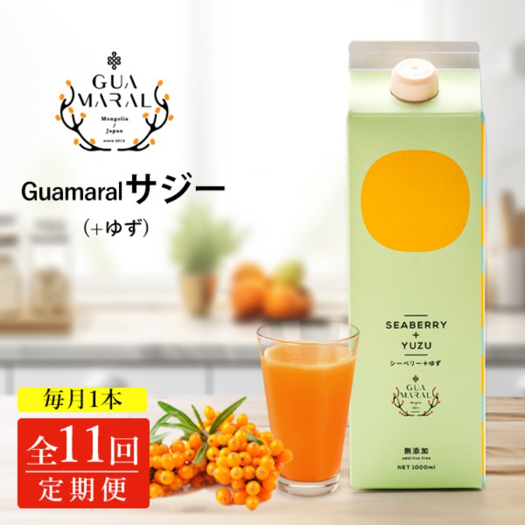 【定期便11カ月】サジー グアマラルサジー＋ゆず 1000ml　毎月1本11カ月コース｜サジージュース サジー 沙棘 グアマラル 健康ドリンク 健康 美容 栄養 果汁 鉄分補給 栄養補給 健康食品 _DX35