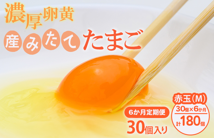 【6ヶ月定期便】小久保ファーム 濃厚卵黄 産みたてたまご 赤玉30個入り（M玉） | 定期便 6カ月 6回 卵 30個 赤玉 玉子 たまご タマゴ 生卵 鶏卵 産みたて 新鮮 濃厚 健康 国産 ギフト 贈答 贈り物 お中元 お歳暮 プレゼント 農家直送 _EI06