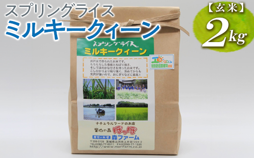 スプリングライス ミルキークィーン (玄米) 2kg ※着日指定不可 | 米 こめ コメ 2キロ 玄米 ミルキークイーン みるきーくいーん 古河市産 茨城県産 取り寄せ お取り寄せ ギフト 贈答 贈り物 プレゼント お中元 お歳暮 茨城県 古河市 直送 農家直送 産地直送 送料無料 _BI61