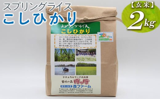 スプリングライス こしひかり (玄米) 2kg ※着日指定不可 | 米 こめ コメ 2キロ 玄米 こしひかり コシヒカリ 古河市産 茨城県産 取り寄せ お取り寄せ ギフト 贈答 贈り物 プレゼント お中元 お歳暮 茨城県 古河市 直送 農家直送 産地直送 送料無料 _BI65