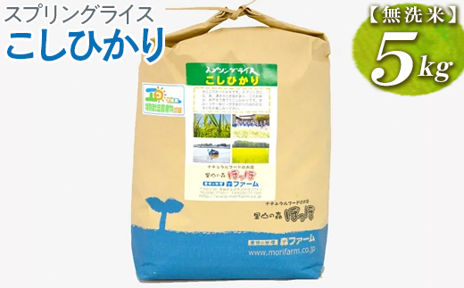 スプリングライス こしひかり (無洗米) 5kg | 米 こめ コメ 5キロ 無洗米 白米 こしひかり コシヒカリ 古河市産 茨城県産 取り寄せ お取り寄せ ギフト 贈答 贈り物 プレゼント お中元 お歳暮 茨城県 古河市 直送 農家直送 産地直送 送料無料 _BI39