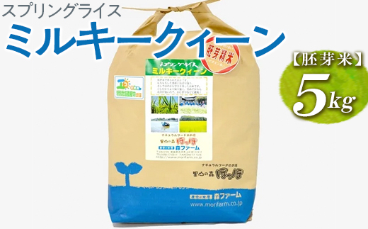 スプリングライス ミルキークィーン (胚芽米) 5kg | 米 こめ コメ 5キロ 胚芽米 ミルキークイーン みるきーくいーん 古河市産 茨城県産 取り寄せ お取り寄せ ギフト 贈答 贈り物 プレゼント お中元 お歳暮 茨城県 古河市 直送 農家直送 産地直送 送料無料 _BI47