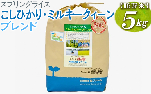 スプリングライス こしひかり・ミルキークィーン ブレンド (胚芽米) 5kg | 米 こめ コメ 5キロ 胚芽米 ブレンド米 こしひかり コシヒカリ ミルキークイーン みるきーくいーん もちもち 古河市産 茨城県産 取り寄せ お取り寄せ ギフト 贈答 贈り物 プレゼント お中元 お歳暮 茨城県 古河市 直送 農家直送 産地直送 送料無料 _BI51